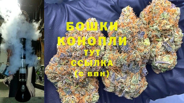 МДПВ Михайлов