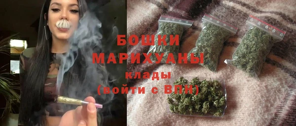 МДПВ Михайлов