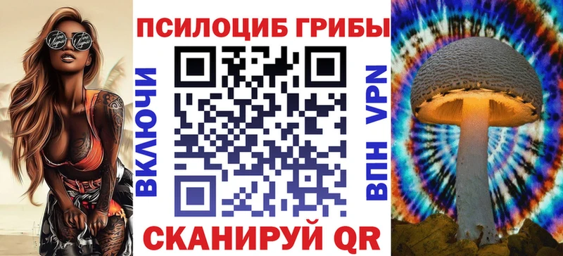 продажа наркотиков Стерлитамак Псилоцибиновые грибы мухоморы