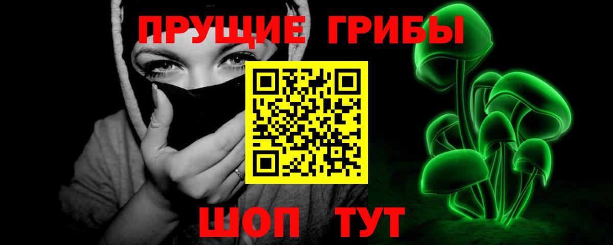 Псилоцибиновые грибы прущие грибы  Вход с VPN  Стерлитамак  Псилоцибиновые грибы Psilocybine cubensis 